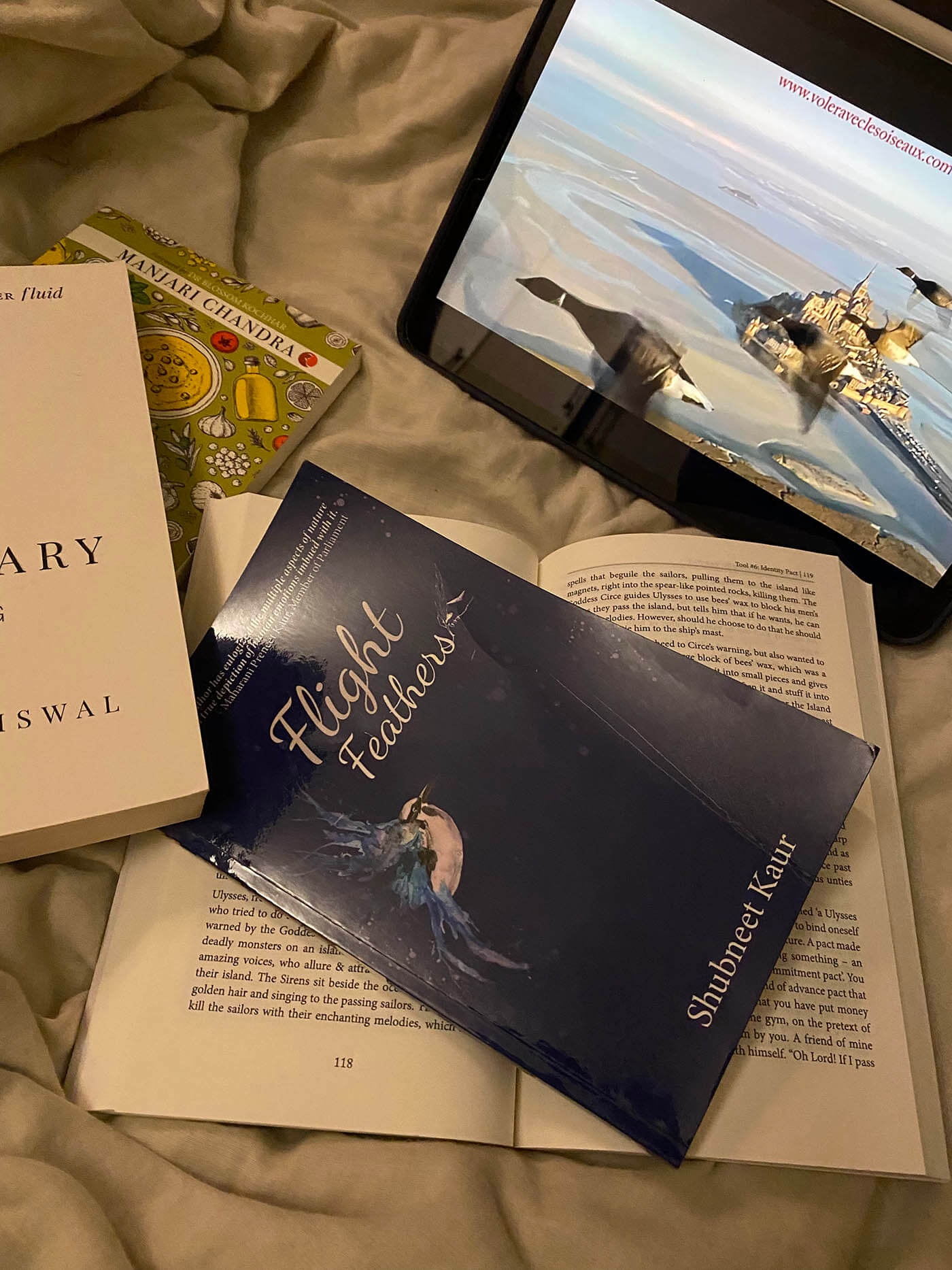 Book Review Of Flight Feathers by Shubneet Kaur
