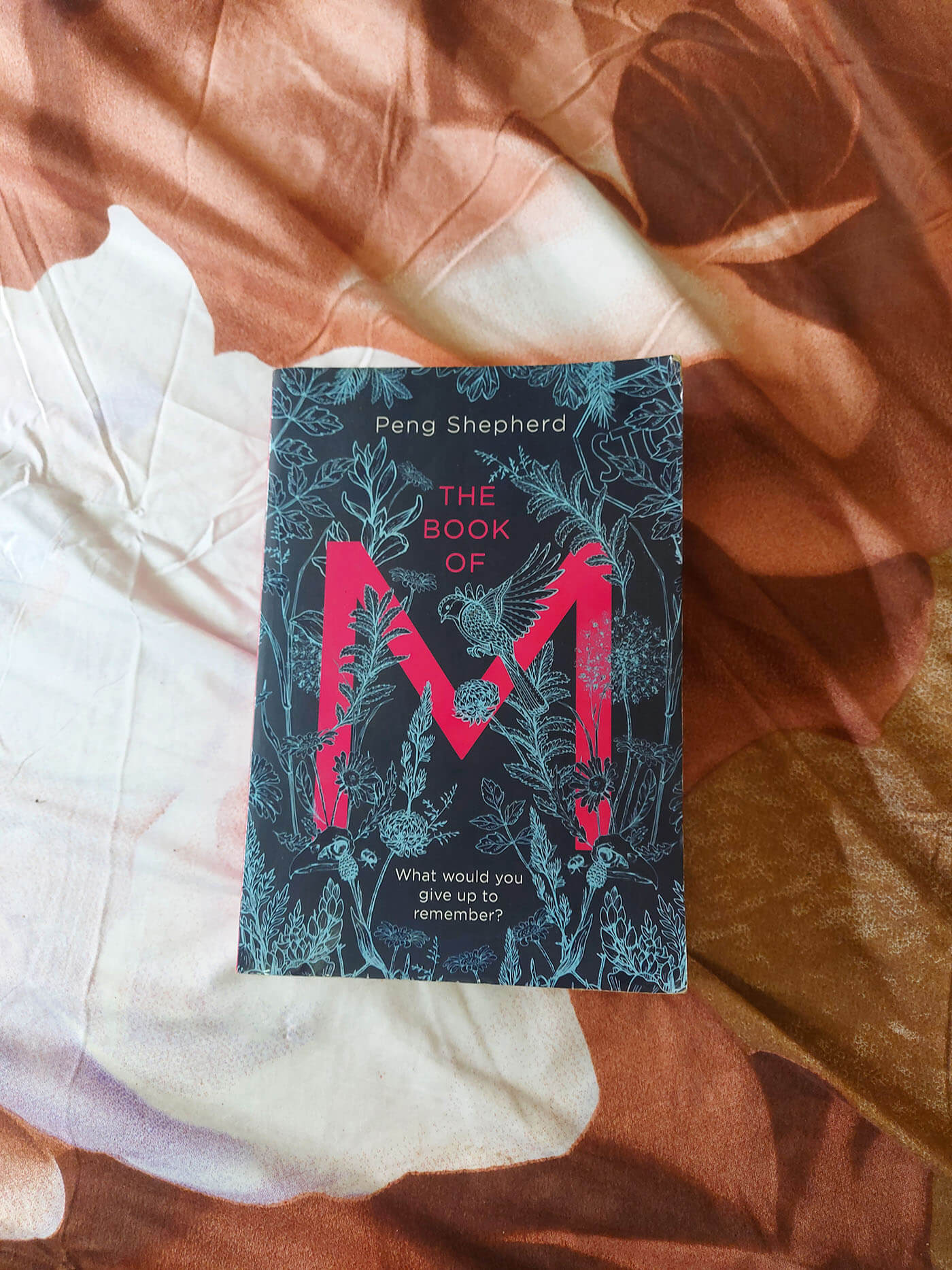 Book Review of The Book of M by Peng Shepherd