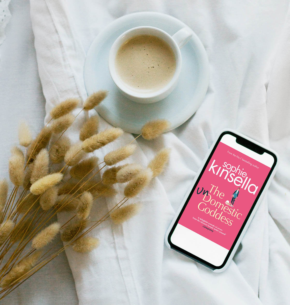 Exploring The Book By Sophie Kinsella, The Undomestic Goddess - A Journey Of Choices We Make