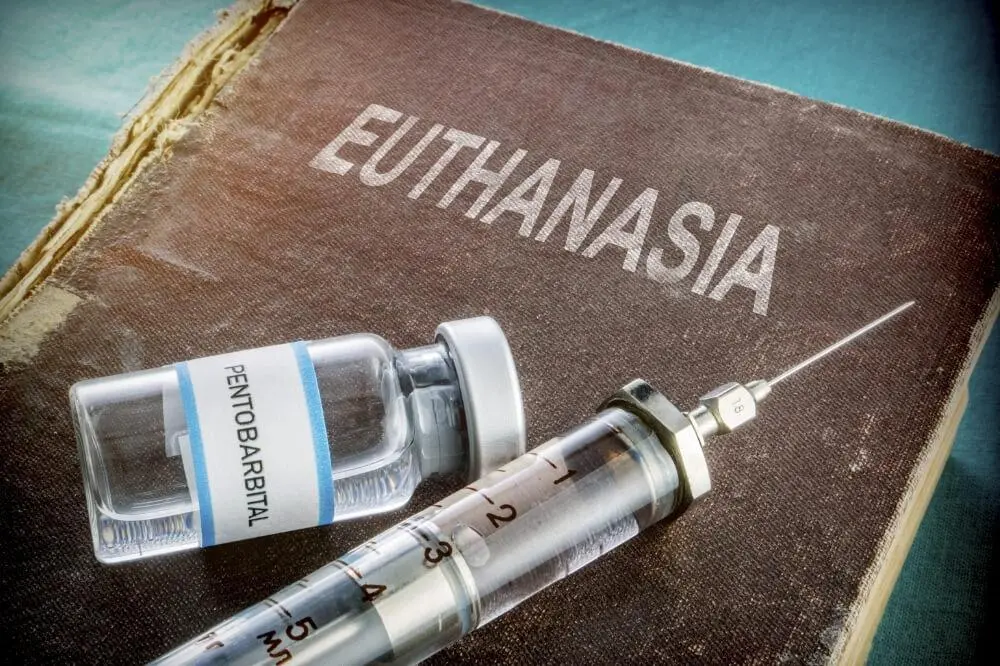Euthanasia-A-Right-to-Mercy-Killing-or-a-Dignified-Death